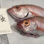 旬菜味空 - 長崎産のどぐろ