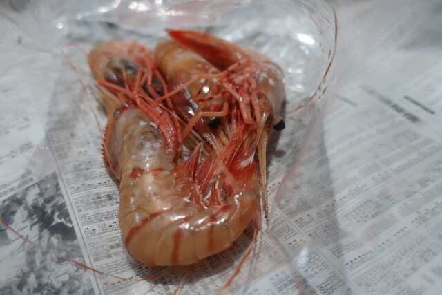 横田鮮魚店 - 小樽（その他）の写真