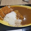 博多カレー研究所 博多とんこつあごだしカレー