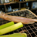 ししゃも（雄）