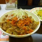 すき家 - ねぎキムチ牛丼