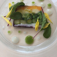 IL PINOLO 梅田 -  IL PINOLO 梅田 -