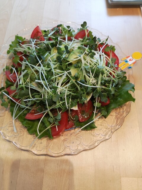 ヨークベニマル 白石店 - 白石（コンビニ・スーパー）の写真