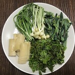 柚木元 - 筍・のびる・のらぼう菜・花つき木の芽