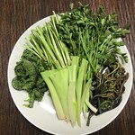 柚木元 - こごみ・せり・うるい・わらび