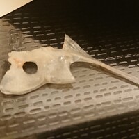 しゃぶしゃぶ芋つる 新橋店 別館 -  しゃぶしゃぶ芋つる 新橋店 別館 -