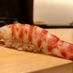 鮨 はしもと - 2020.3.  車海老