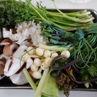 柚木元 - 山菜、うるい、のびるなど