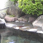 斎藤旅館 - 小さいけれど露天風呂もあります。