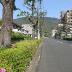 江戸前鮨 二鶴 - 躑躅の季節、店前から足立の山手