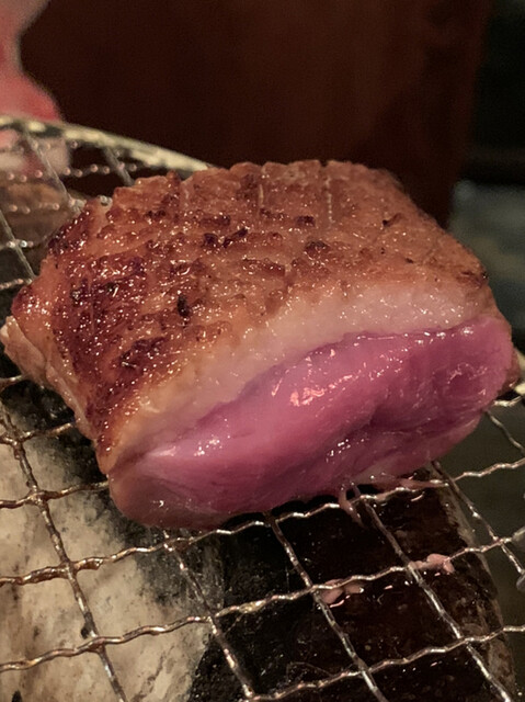 よつやほるもん 四谷三丁目 焼肉 食べログ