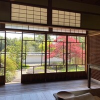 oasi - 