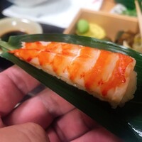 心根 - 