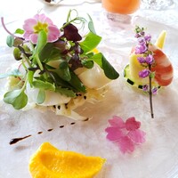 岩崎台倶楽部 グラスグラス - 北海道産帆立貝柱のカルパッチョ
                    春キャベツと新ゴボウのサラダと人参のフォンダン