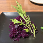 ラディーチェ - 