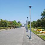 Namasute surya - りんくう公園