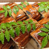 和食堂 SUGIZEN - 