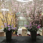 サンテミリオン - 装飾花は桜