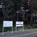 Sakura Dou - 吉野駅ホーム