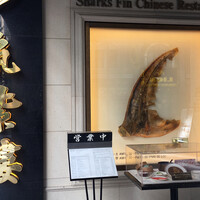 筑紫樓 銀座店 - 