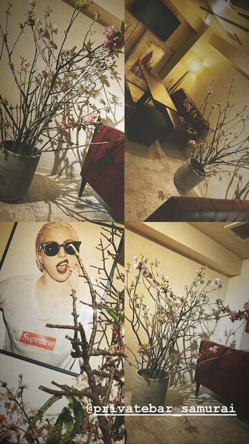 Private Cafe Bar Samurai photo 5