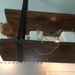 オーガニックスパイスカレー ペペリ - 