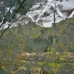 いろり　じねん - 店内のご紹介です①（5/16UP）