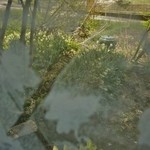 いろり　じねん - 店内のご紹介です②（5/16UP）