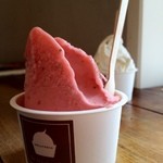 SE1 - とちおとめ