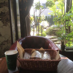 宇都宮ペニーレイン - 