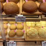 ダンブラウン - 