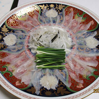 可ん寅 - ふぐ刺し