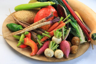 h Shunjukusei - 千葉ルコラステーションの野菜たち
