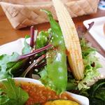 アンソレイユ - スープカレーランチ