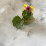 プレゼンテ スギ - イカと春の香り