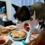 チャウチャウ - 食べてみた