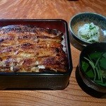 浜茂 - うな重松大盛り