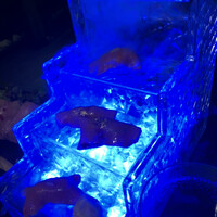 牛牛 西麻布 総本店 - 