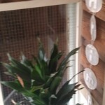 海と畑の台所　Cocopelli Shrimp - 