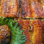 炭焼うな富士 - ◆肝いり丼◆♪