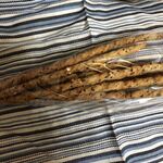 チャオ イタリアン バル - 