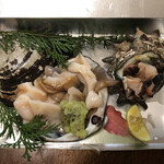 旬ものと日本酒 とみ笑 - ホッキとサザエ刺し