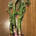 旬ものと日本酒 とみ笑 - 山うど