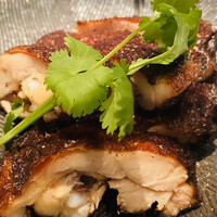 CINA New Modern Chinese - 