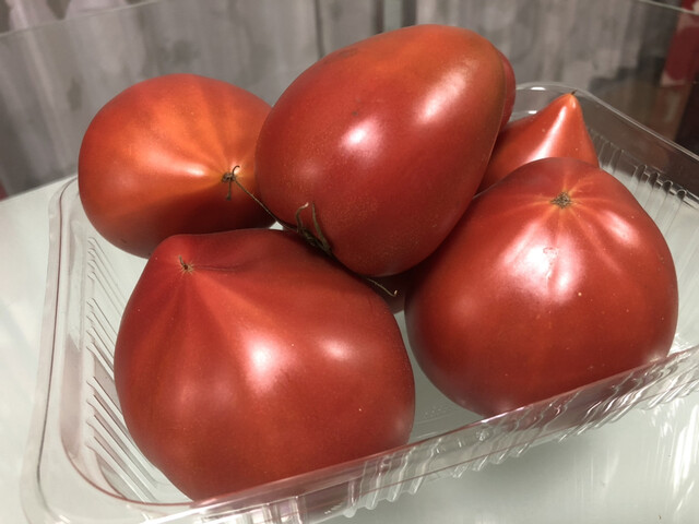 美味しいトマトのシーズンになりました♪』by yoakenoao : にいみ