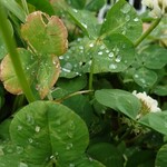 快食空間 makanaiya - 