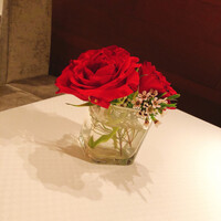 ジョンティ アッシュ - 