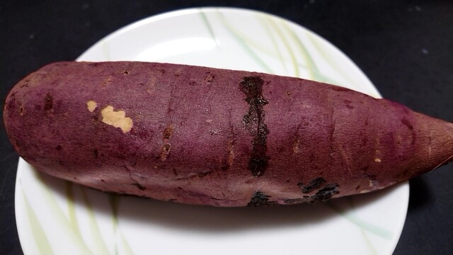 Imo Zukin Chan Hon Ten photo 3