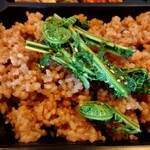 栄夏 - こごみのおひたし、酵素玄米