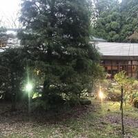 フレンチレストラン 千秋亭 - 千秋公園の中